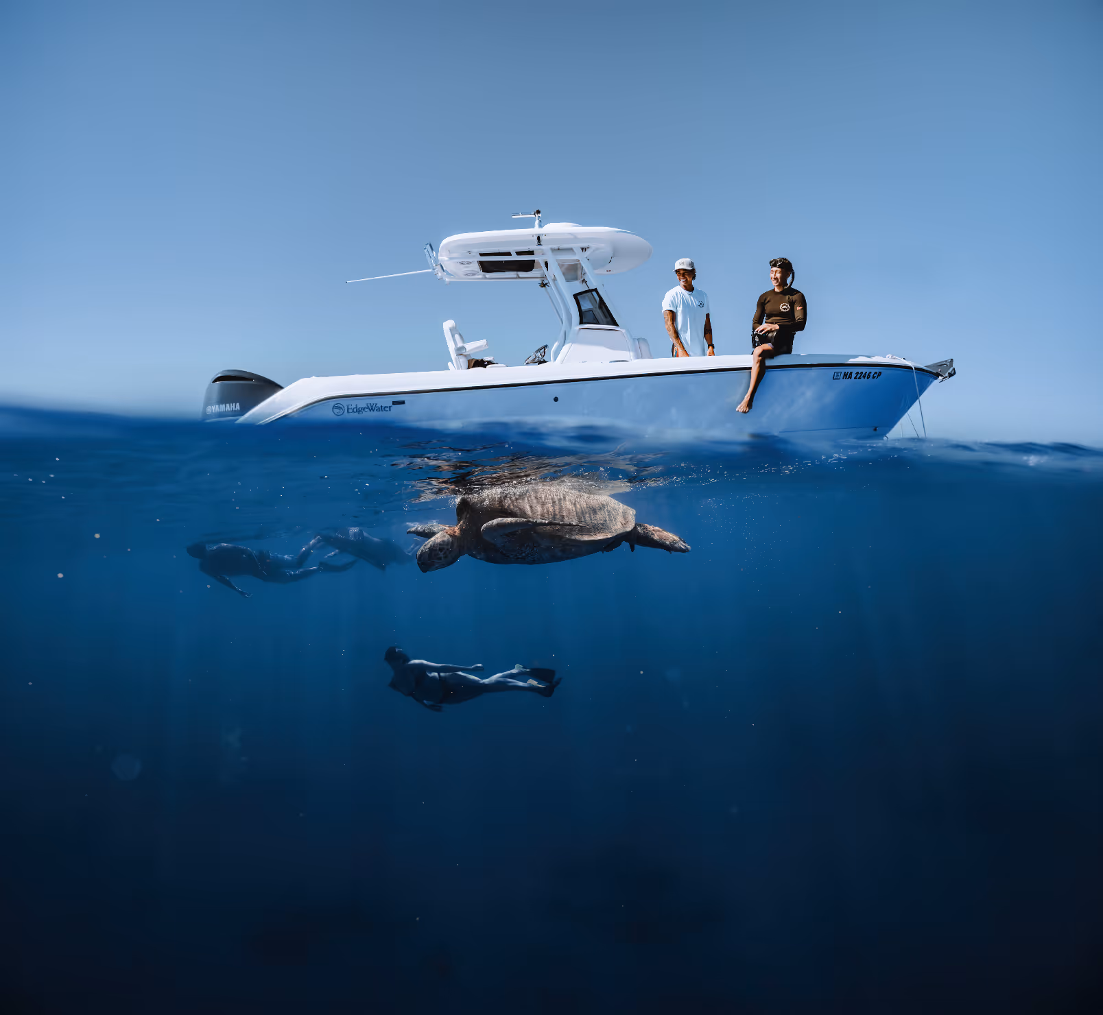 A split shot of underwater scene featuring two snorkelers observing a Hawaiian Green Sea Turtle, while a captain and deckhand sit on a small white boat, watching from above.