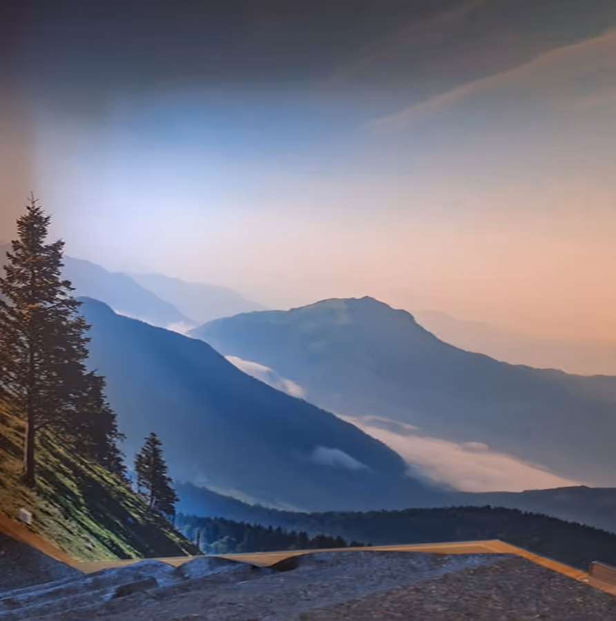 Blick auf neblige Bergketten bei Sonnenaufgang mit Bäumen im Vordergrund.