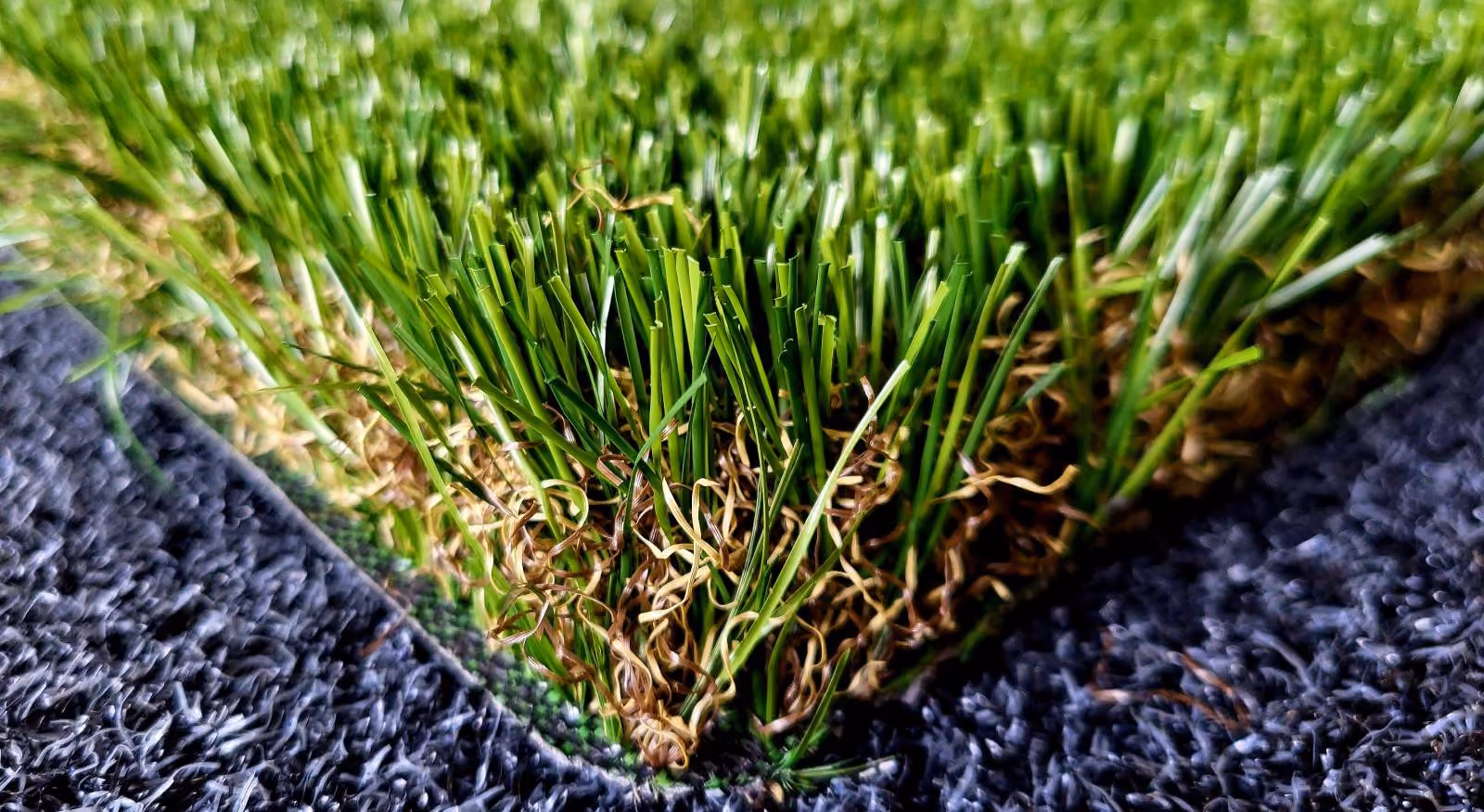 Gros plan d'herbe synthétique dense avec des brins verts droits et des brins bruns bouclés au centre.