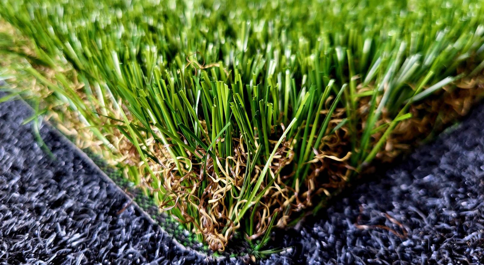 Gros plan d'herbe synthétique dense avec des brins verts droits et des brins bruns bouclés au centre.