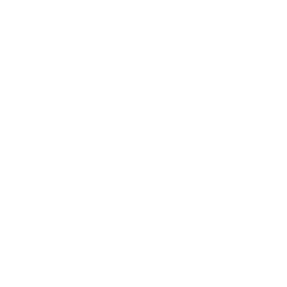 Savor Logo
