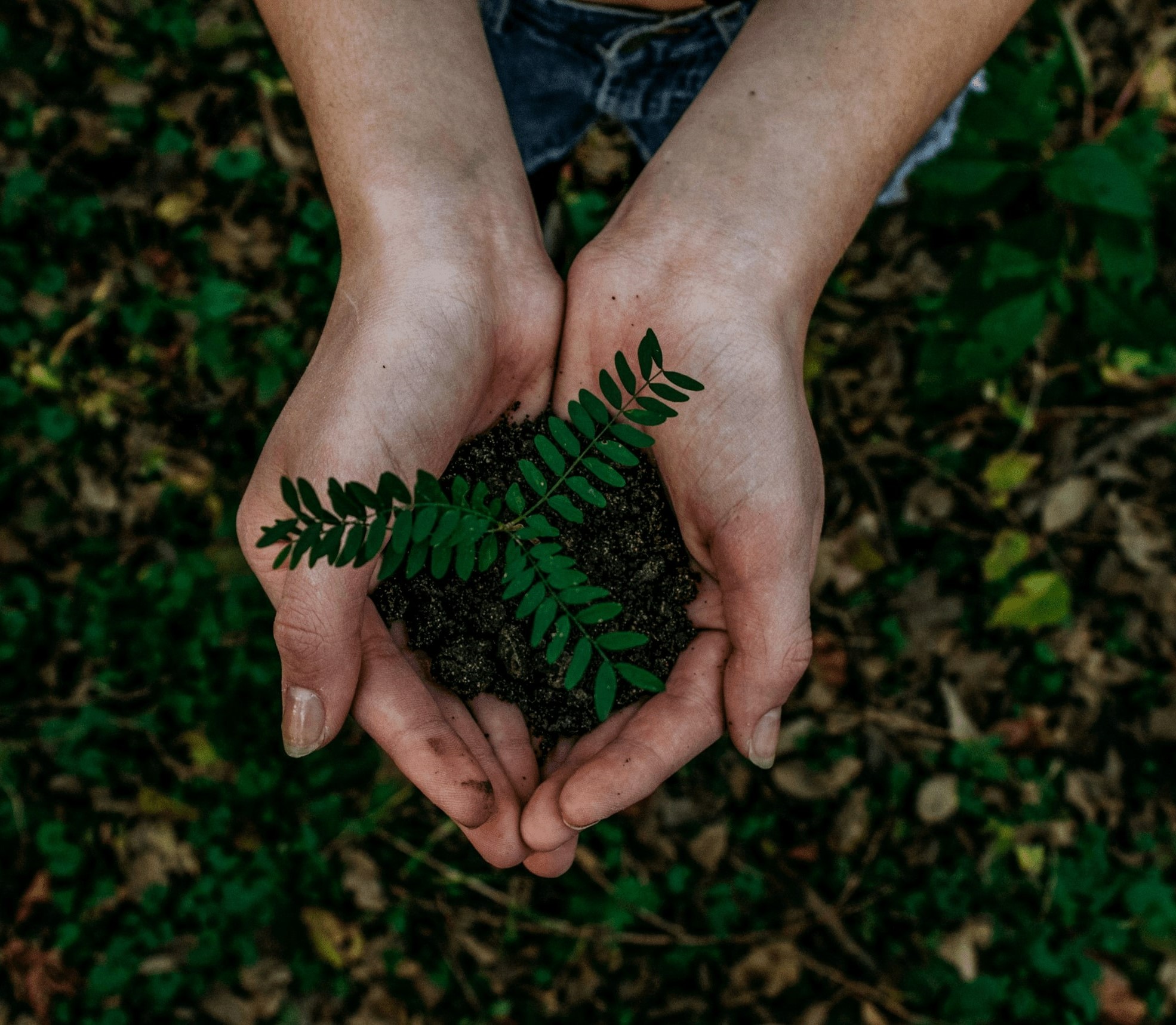 mains contentants de la terre