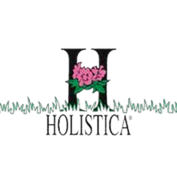 Logo Holistica