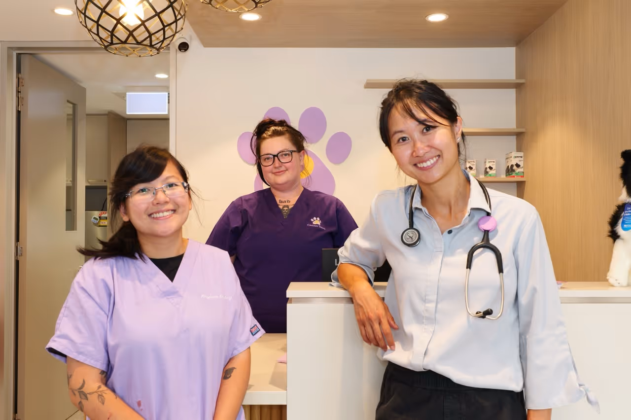 The caring paws vet clinic team at the reception of the clinic.