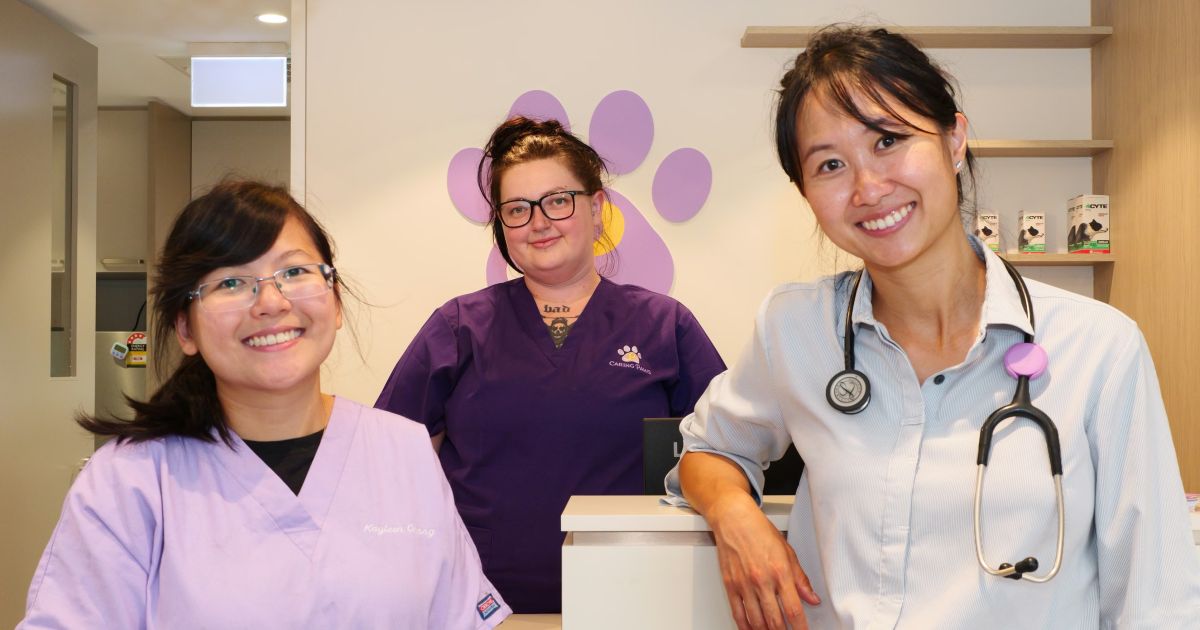 Team photo of Caring Paws Veterinary Care, Vermont South VIC