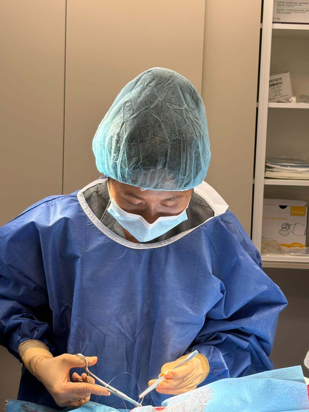 A Vet surgeon performing an operation on a pet at Caring Paws Vet Clinic