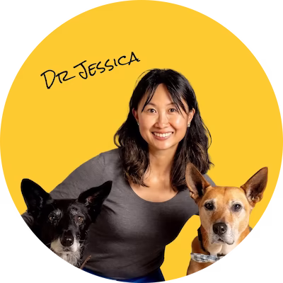 Vet Doctor Jessica with her pet dogs