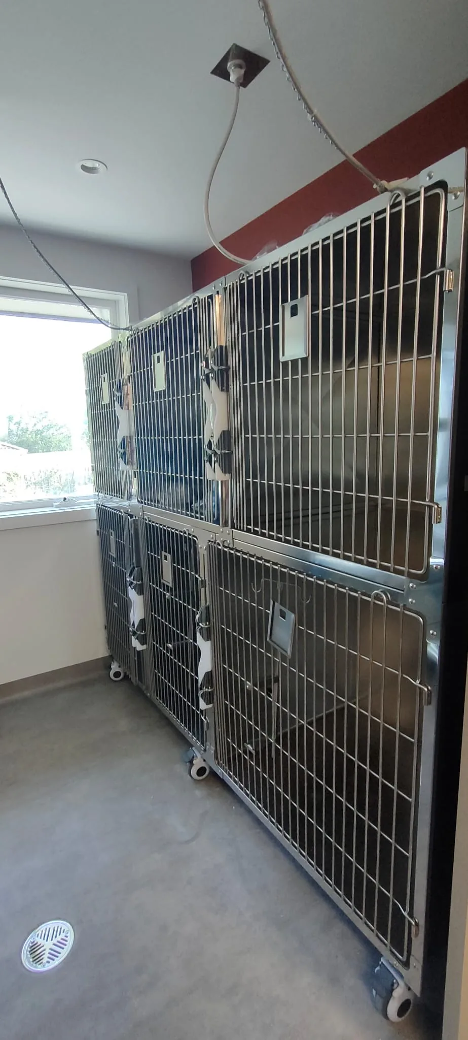 Stainless steel kennels in the clinic's hospital area