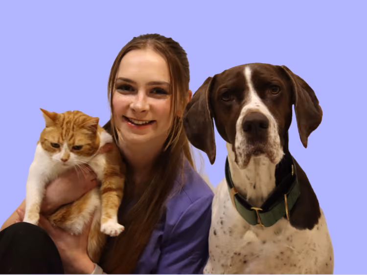 Brooke, veterinary nurse at Caring Paws, with a ginger and white cat and a brown and white dog