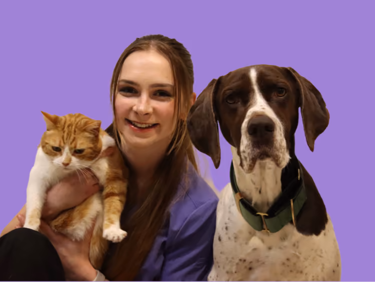 Brooke, veterinary nurse at Caring Paws, with a ginger and white cat and a brown and white dog