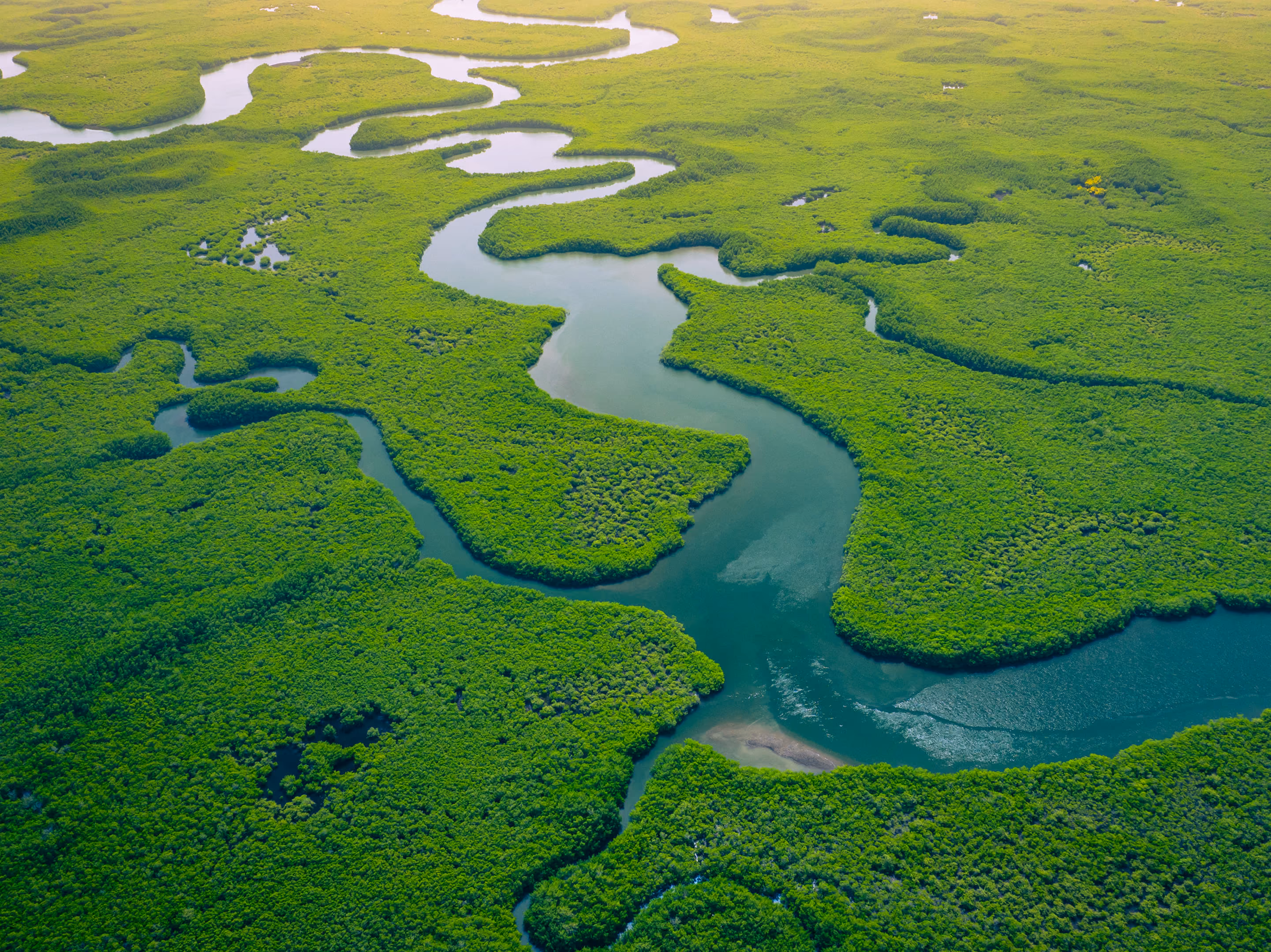 Fleuve en Amazonie