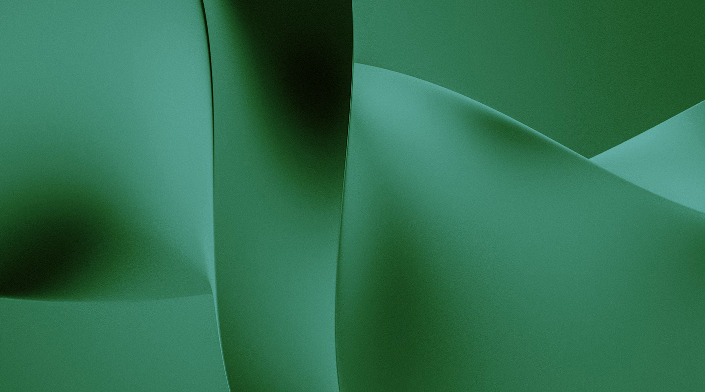 WSPN projet branding