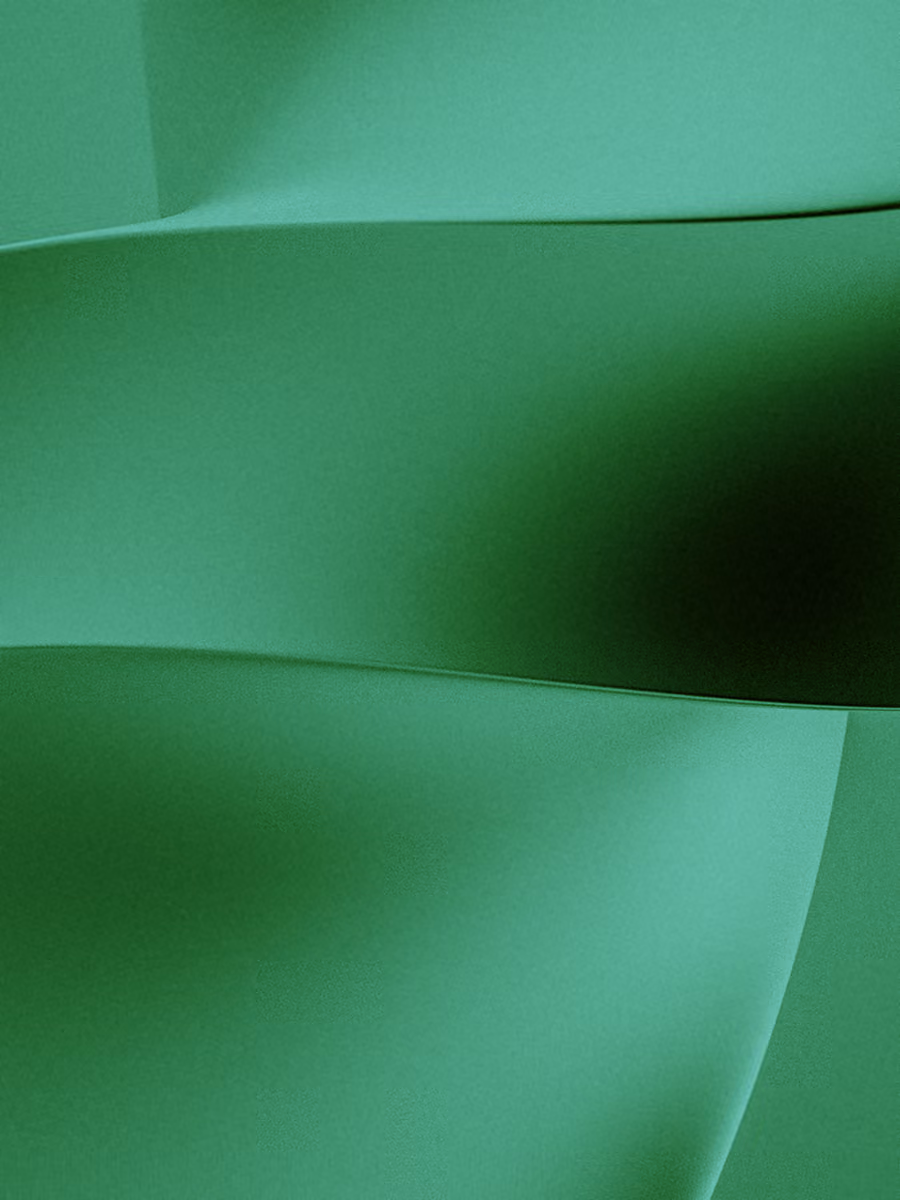 WSPN projet branding