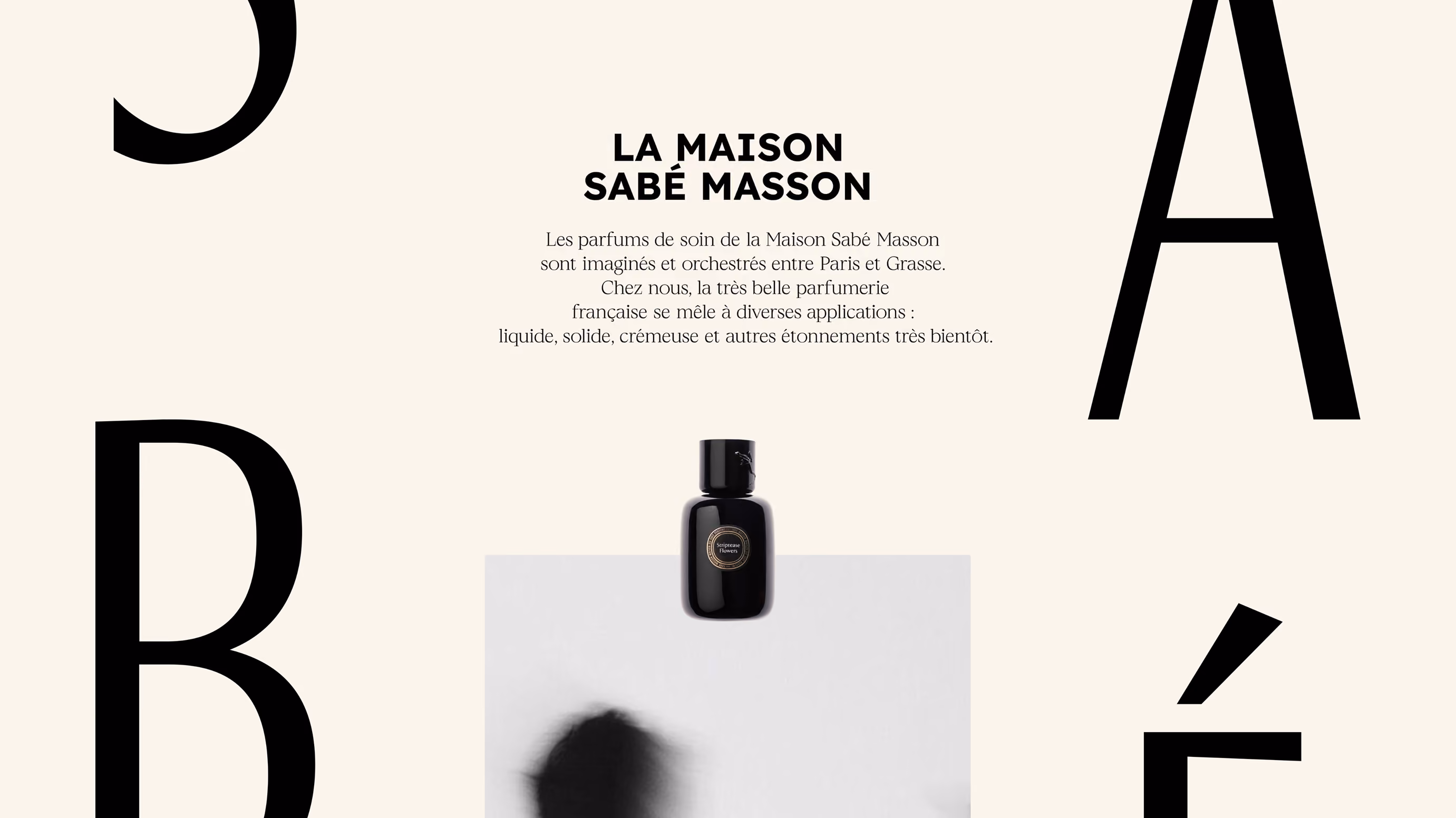 Illustration de l'identité graphique Sabé Masson