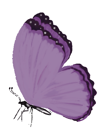 butterfly gif
