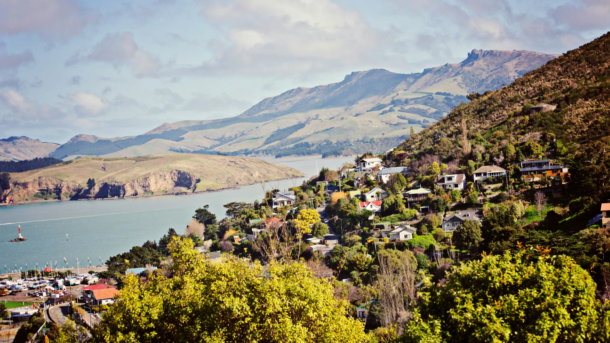 Coastal neighborhood with houses on a hillside overlooking calm water and distant green mountains.