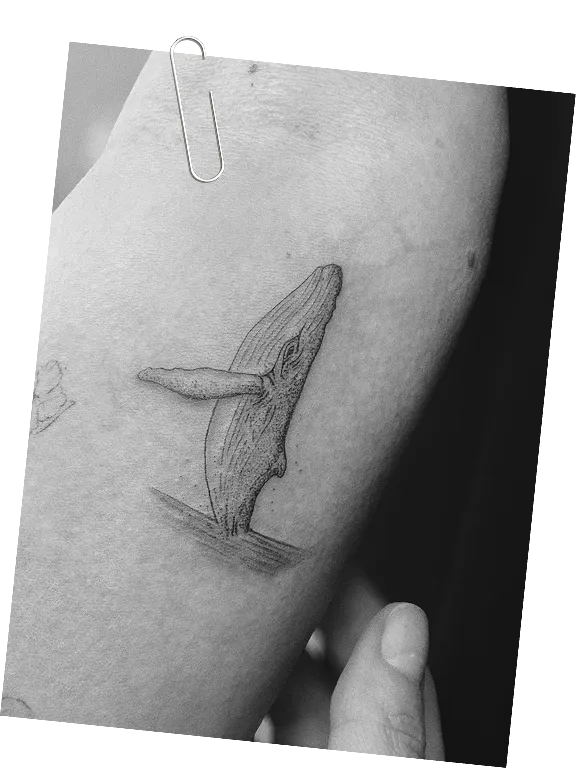 Black and white fine line tattoo of a whale breaching on a person's upper arm.