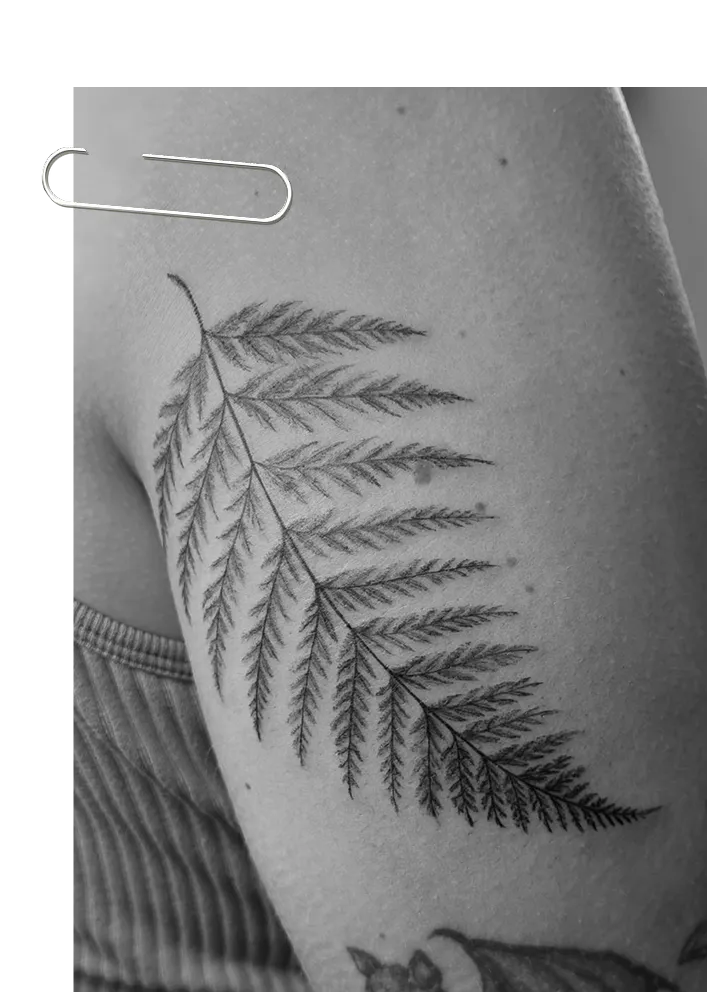 Black and white close-up of an arm with a detailed tattoo of a fern leaf.