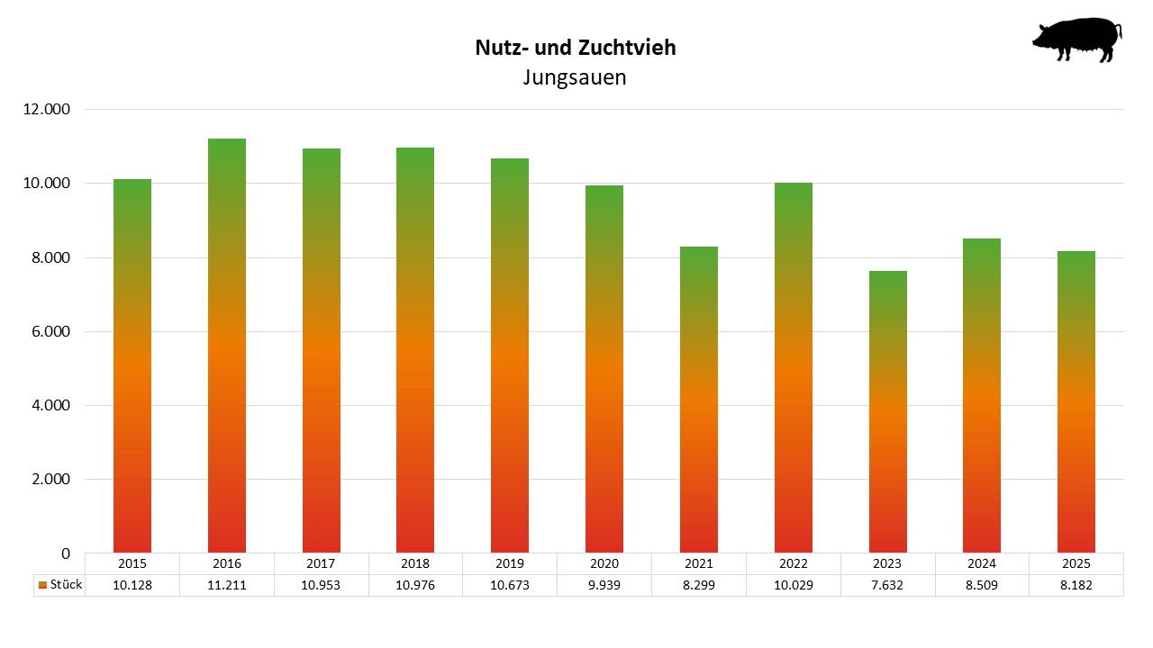 Balkendiagramm der Anzahl Junsauen von 2015 bis 2025 mit jährlichen Stückzahlen zwischen 7.632 und 11.211