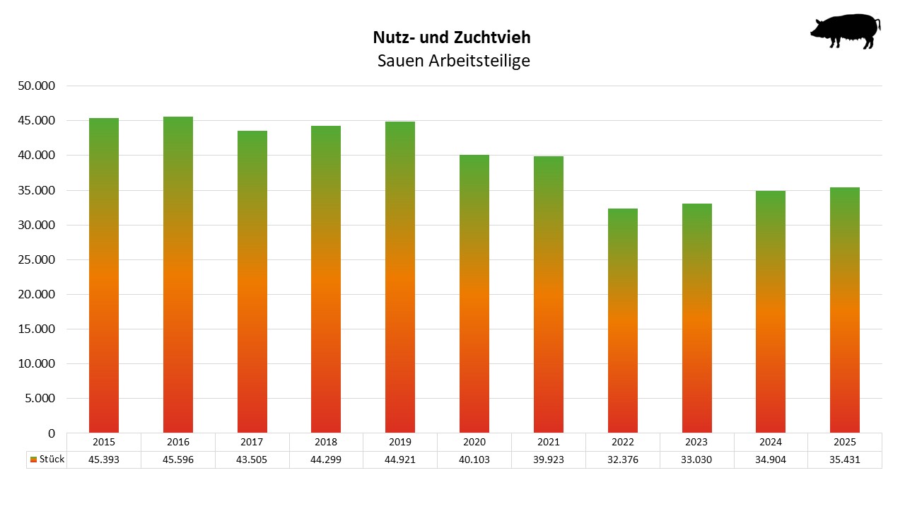 Balkendiagramm zeigt Anzahl der arbeitsteiligen Sauen von 2015 bis 2025 von etwa 32.376 bis 45.596 Stück.