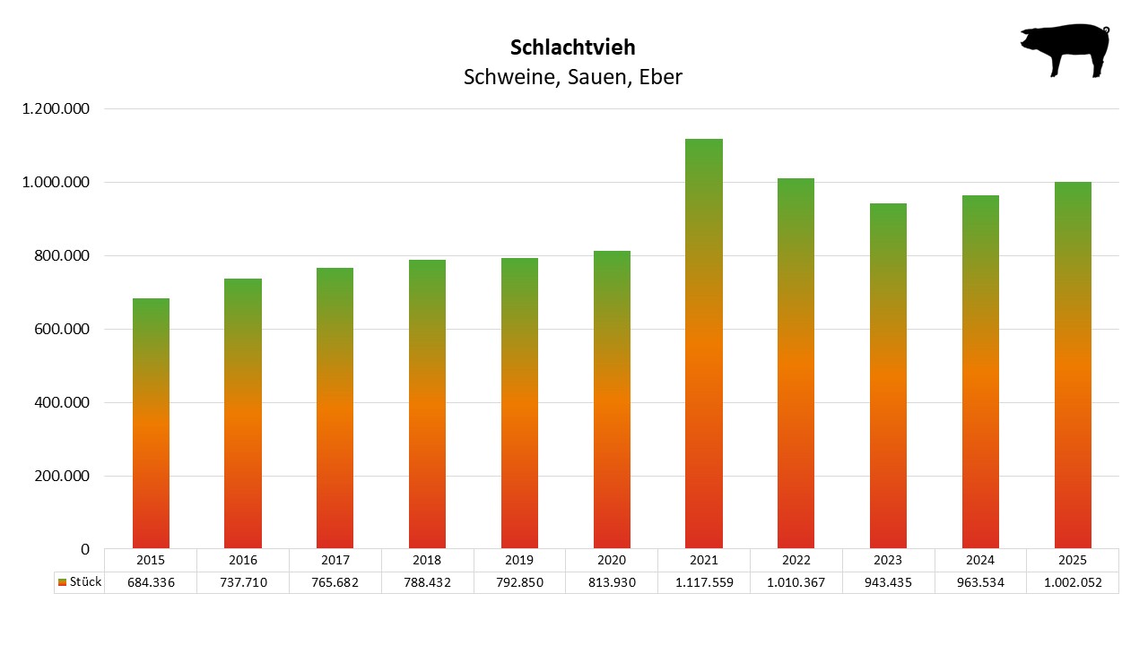 Balkendiagramm zeigt Anzahl der Schweine von 2015 bis 2025 mit Spitzenjahr 2021 über 1.1 Millionen.