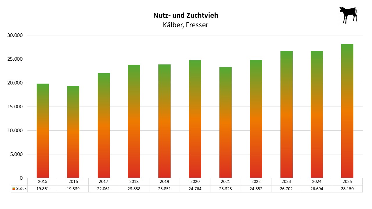 Balkendiagramm zeigt Anzahl der Kälber von 2015 bis 2025 mit steigender Tendenz.