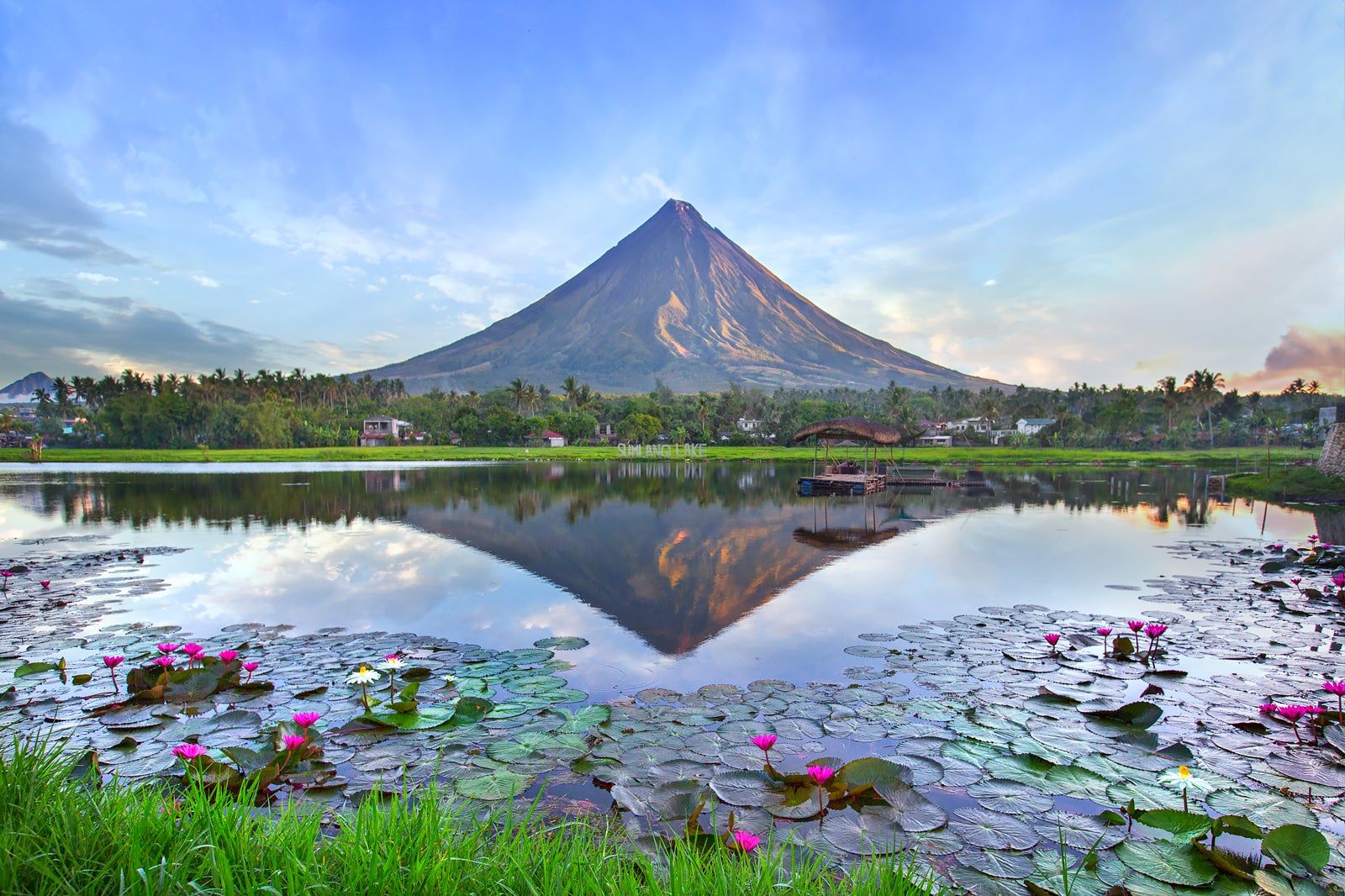 Modern commercial architecture in Makati highlighting the infrastructure for BPO centers and international company formations.