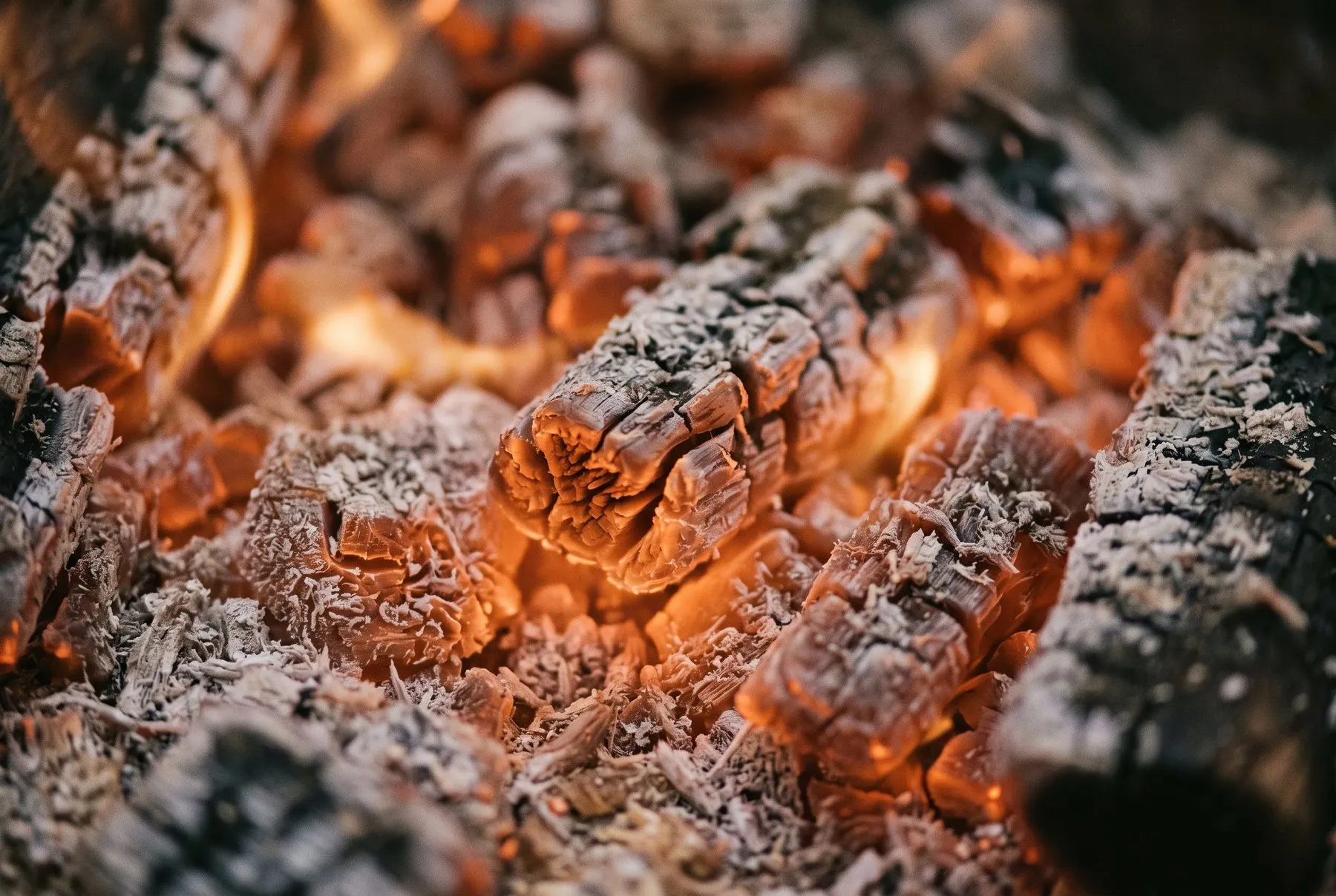 Close-up of glowing embers and charred logs in a fire