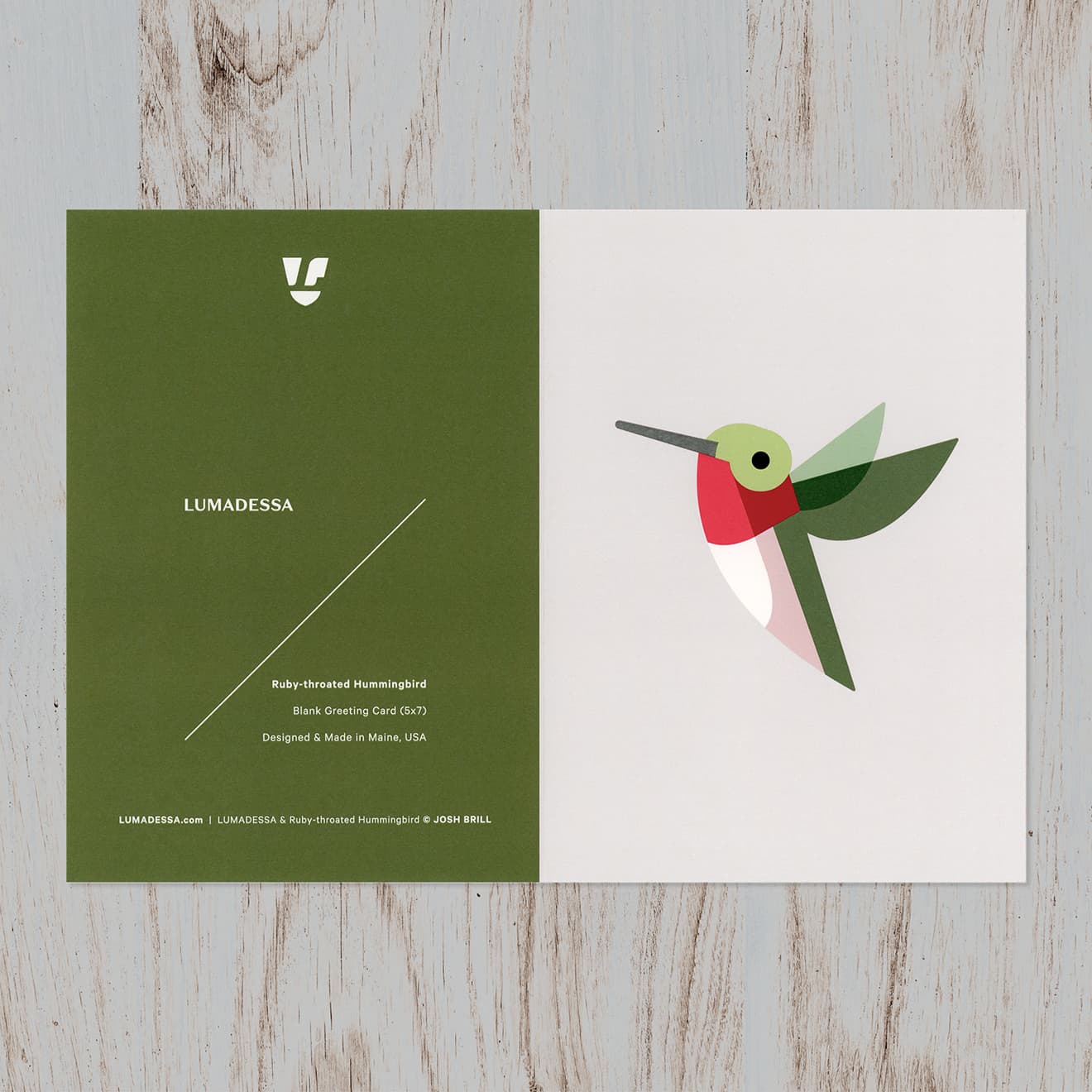 image of art installation (for an art gallery)