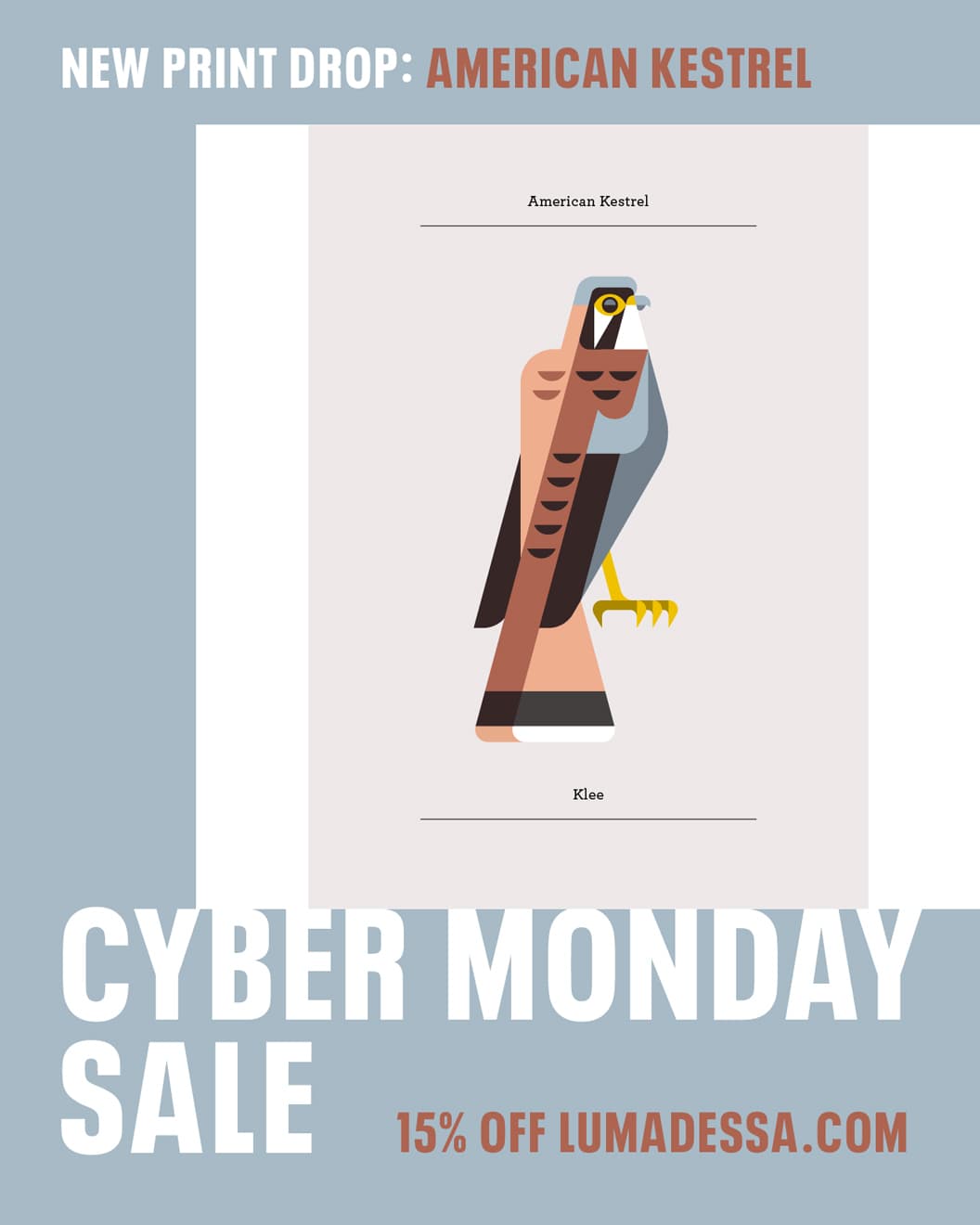 image of art installation (for an art gallery)