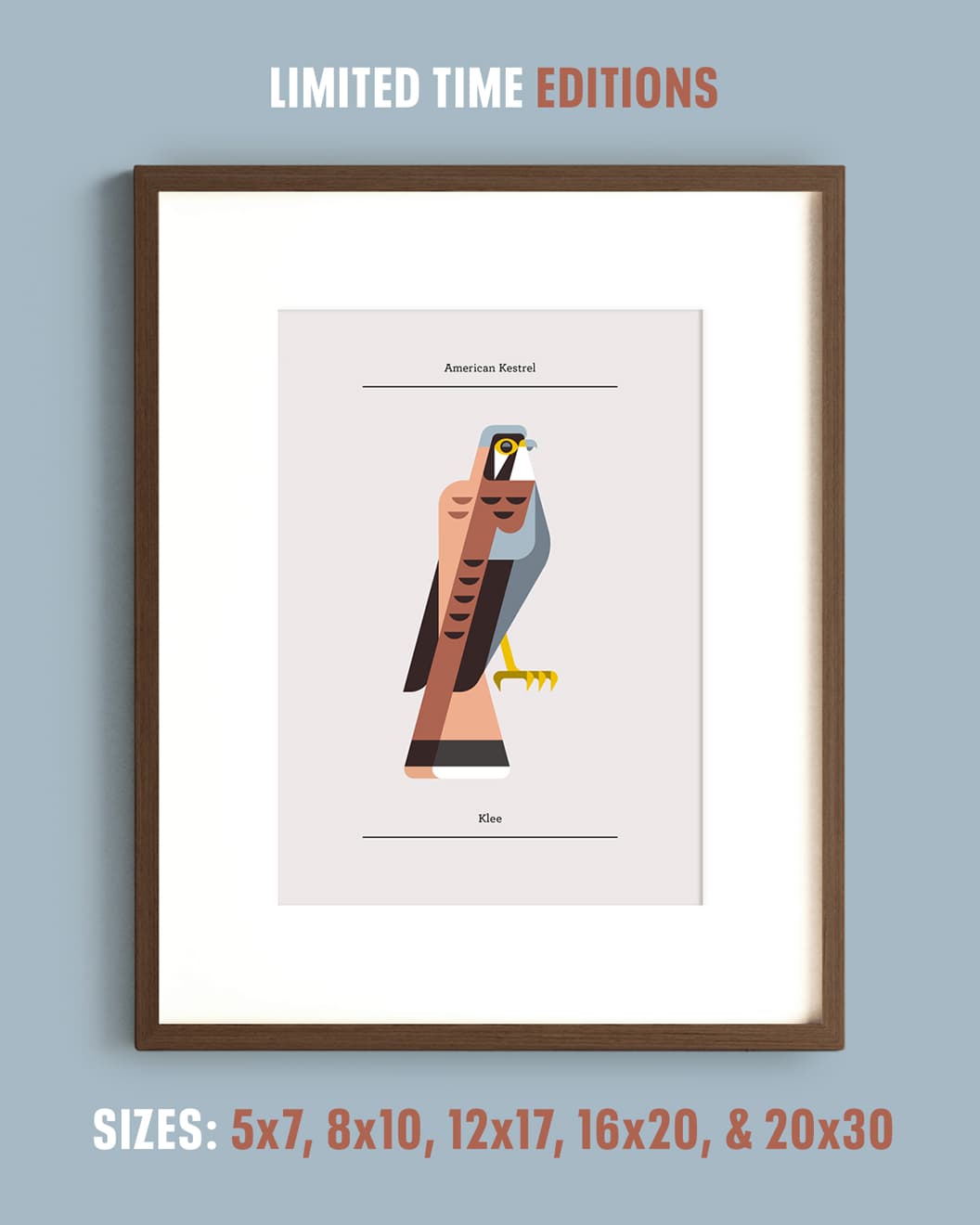 image of art installation (for an art gallery)