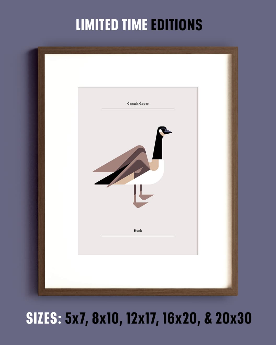 image of art installation (for an art gallery)