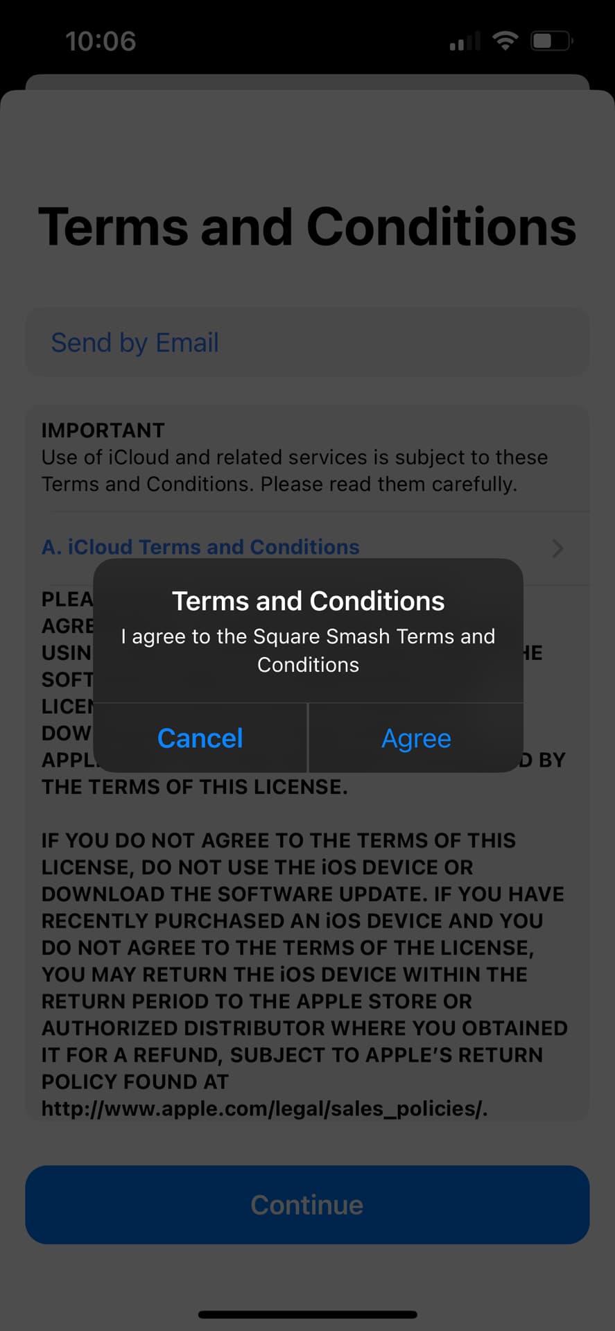 image of art installation (for an art gallery)