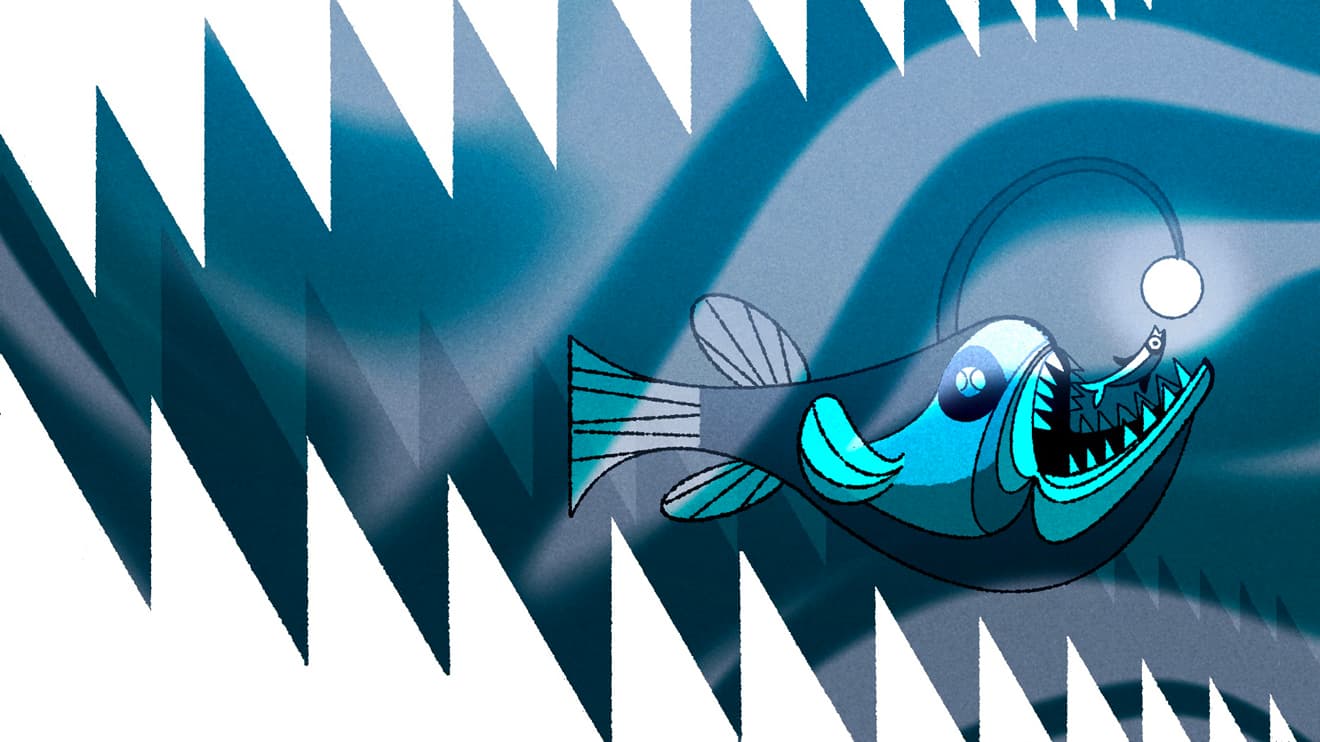 image of art installation (for an art gallery)