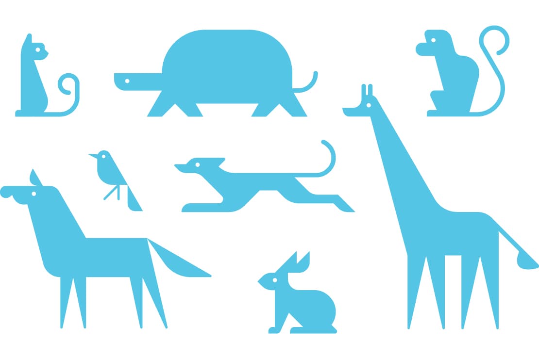 image of art installation (for an art gallery)