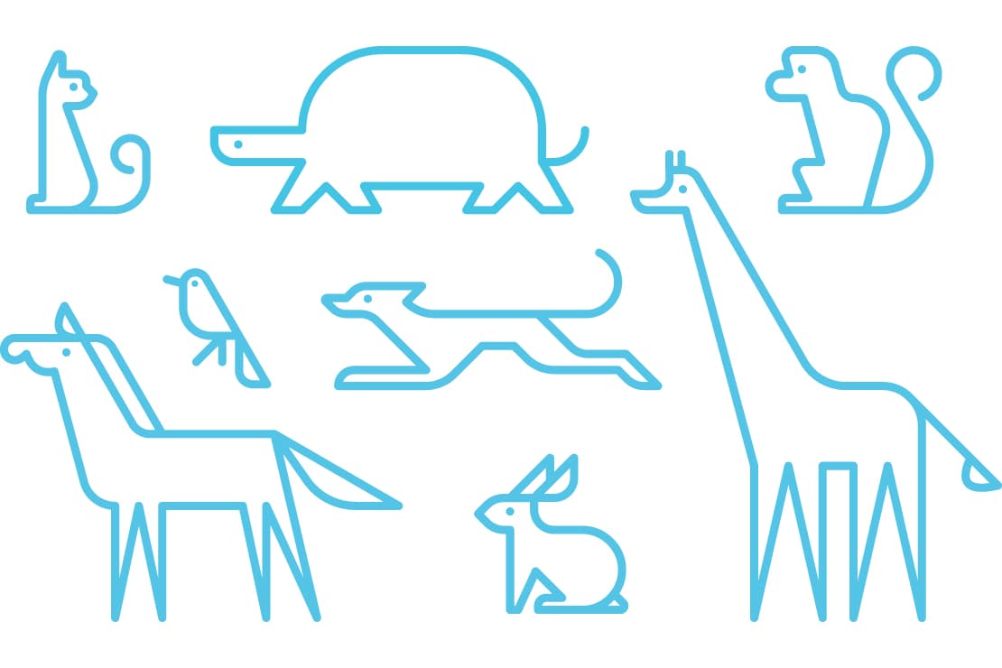 image of art installation (for an art gallery)