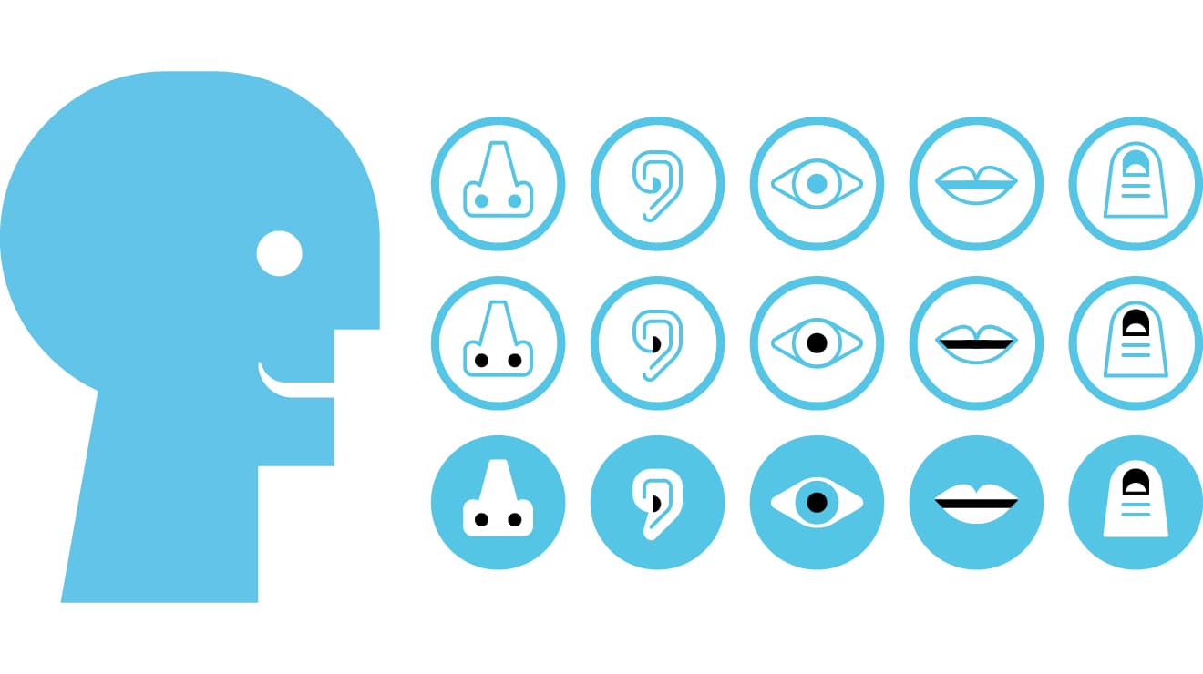 image of art installation (for an art gallery)