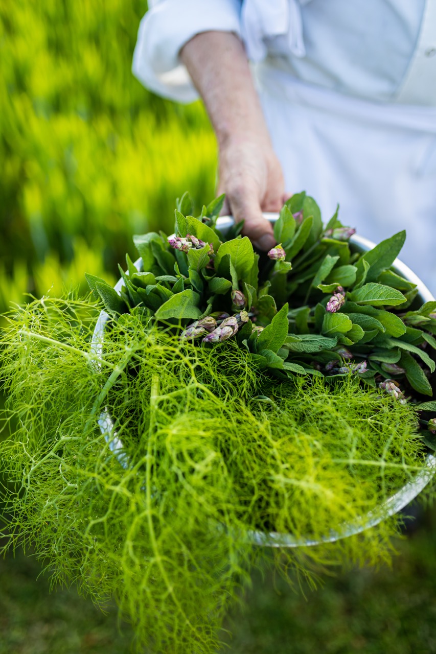 Ballymaloe Festival of Food & Farming A new name for 2027