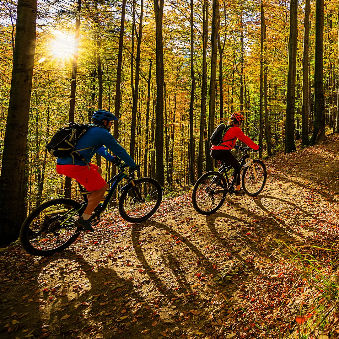 Two mountain bikers riding through a vibrant autumn forest trail near Midway, Utah