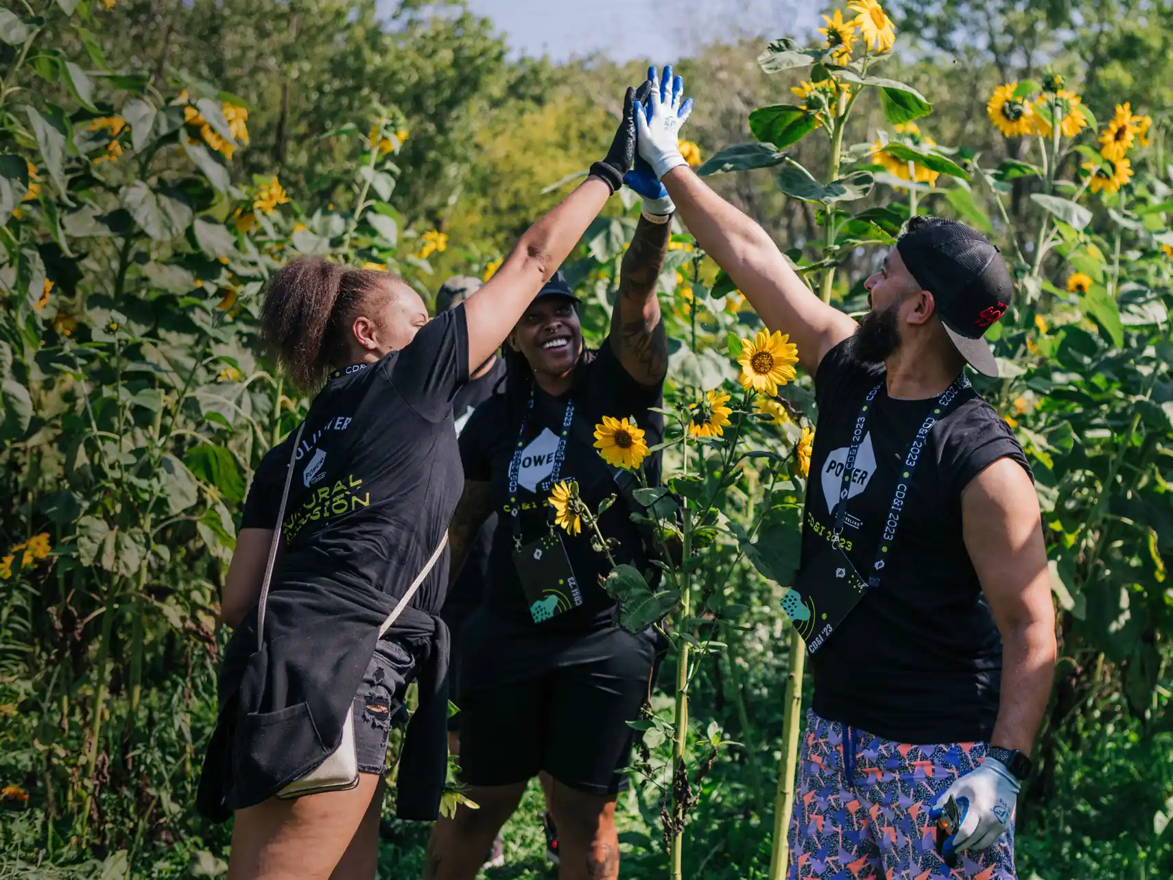 Three people in black shirts giving a group high-five in a sunflower field under clear skies.