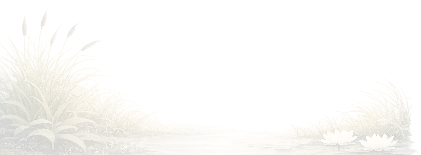 Photo du marais du restaurant La Table du marais à Amiens