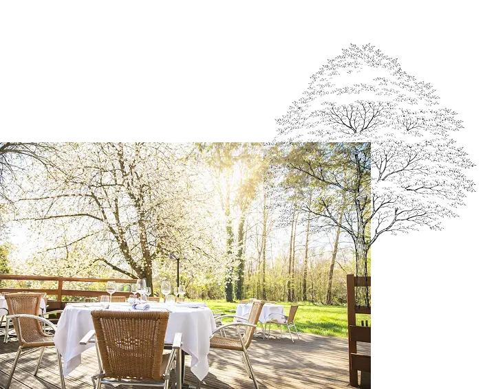 Photo de la terrasse et du jardin du restaurant La Table du marais à Amiens