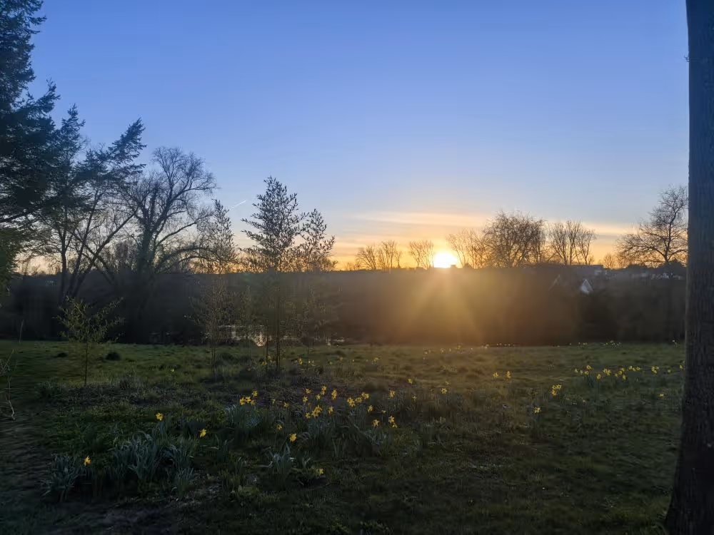 Photo de l'environnement du restaurant  La Table du marais à Amiens