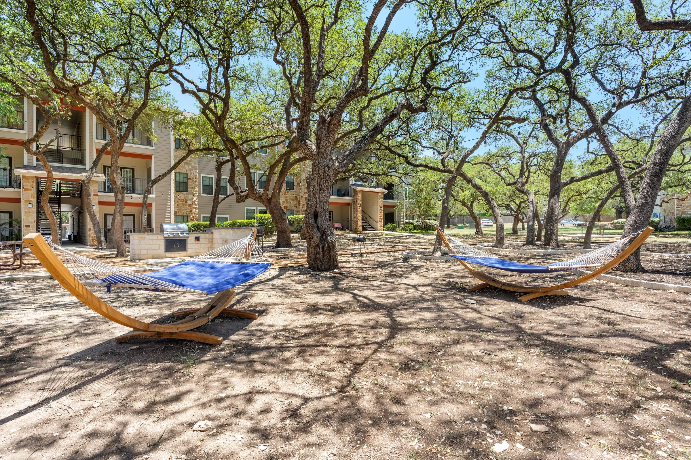 Outdoor hammocks hanging from tree