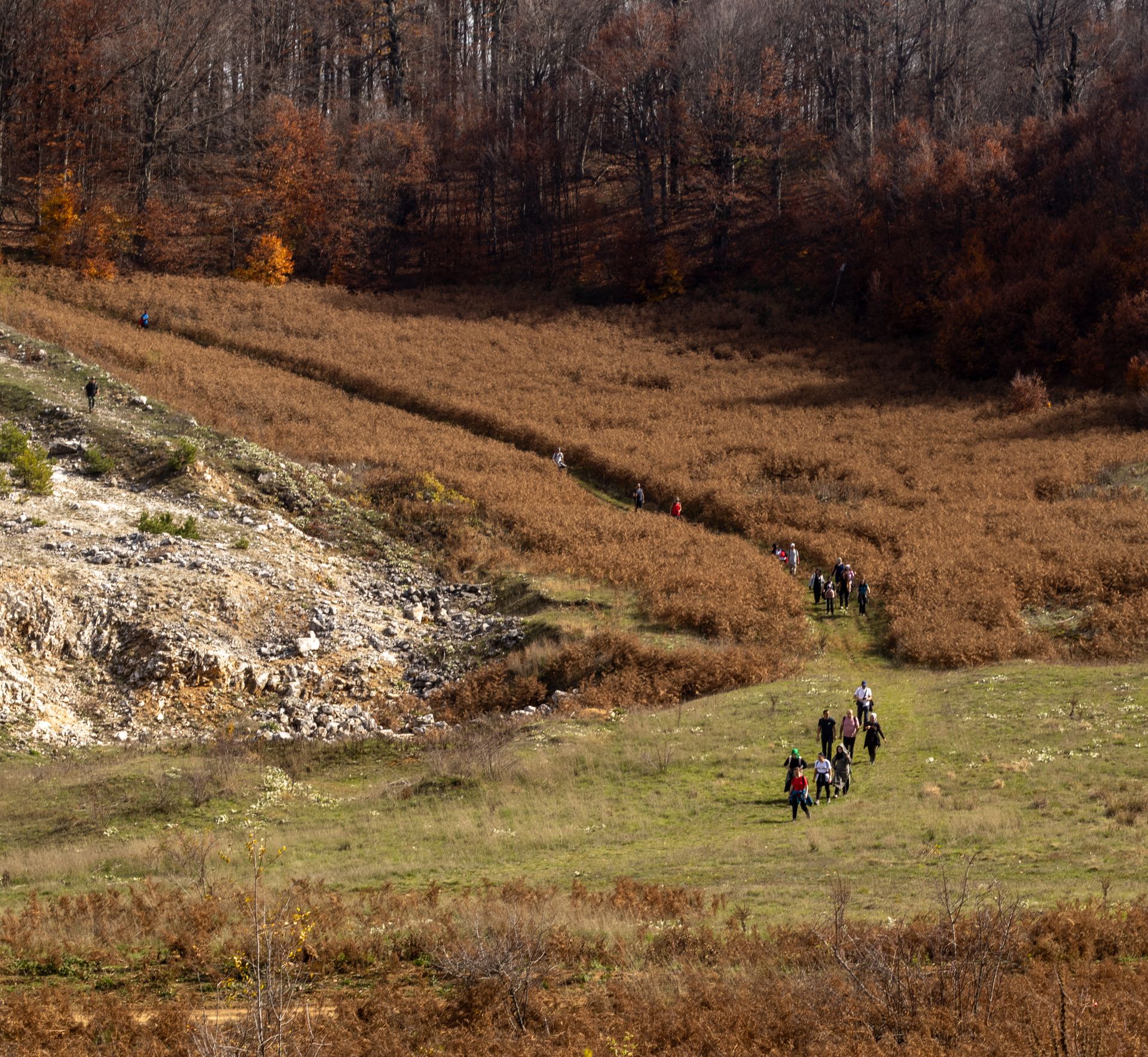 Eine Gruppe wandert im Herbst über eine Wiese am Waldrand