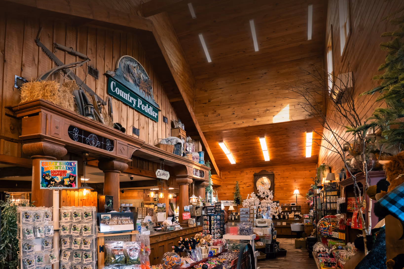 A bag of Mountain Brothers General Store coffee and cup sitting on a picnic table with the Smoky Mountains in the background.