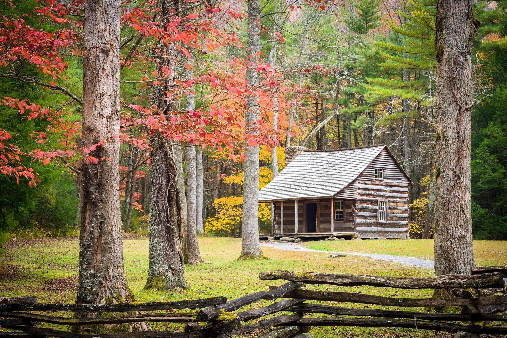 View of one of the original cabins in Cades Cove in the GSMNP.