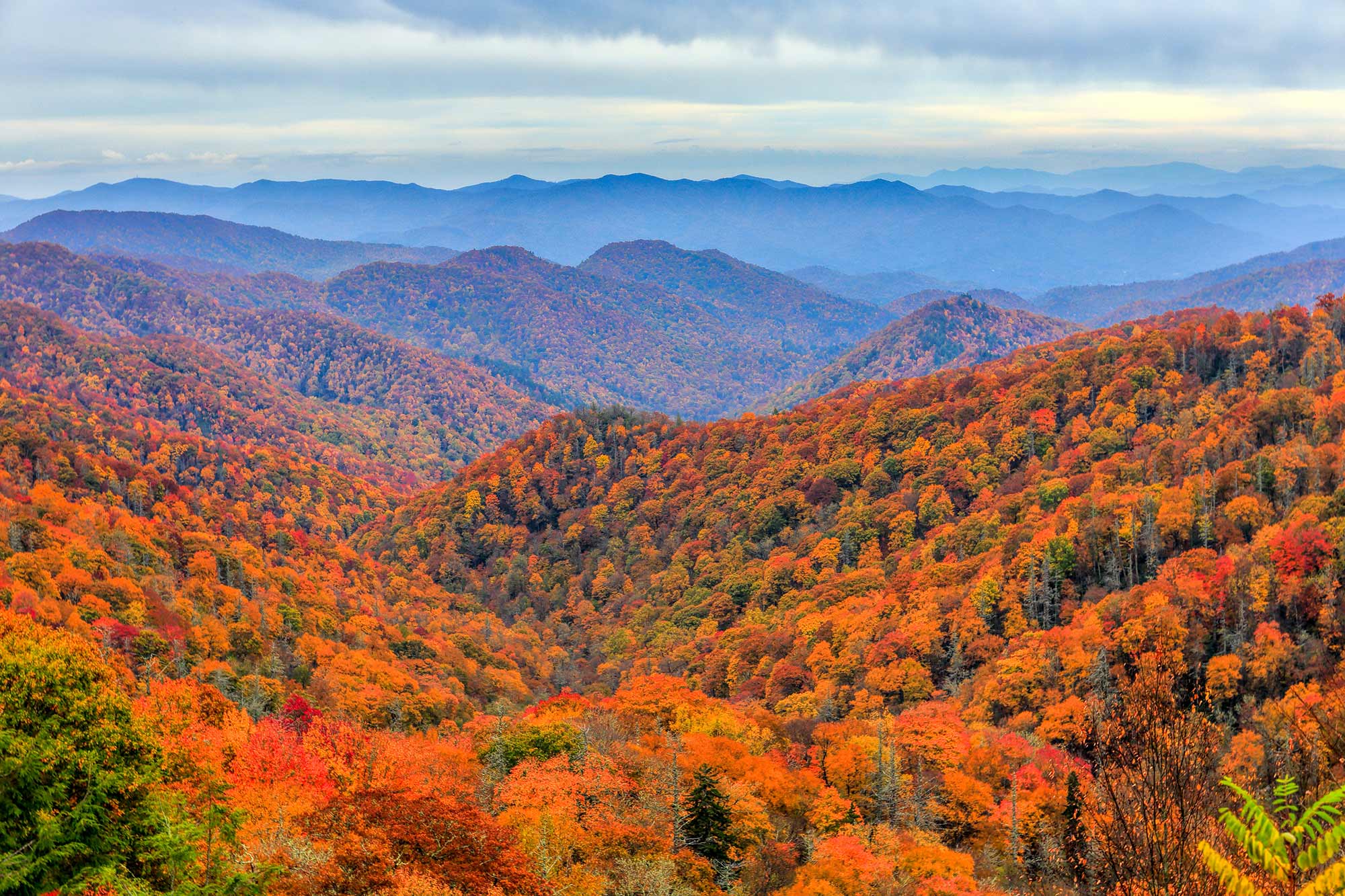 View of the Great Smoky Mountain National Park during Fall with colorful leaves.