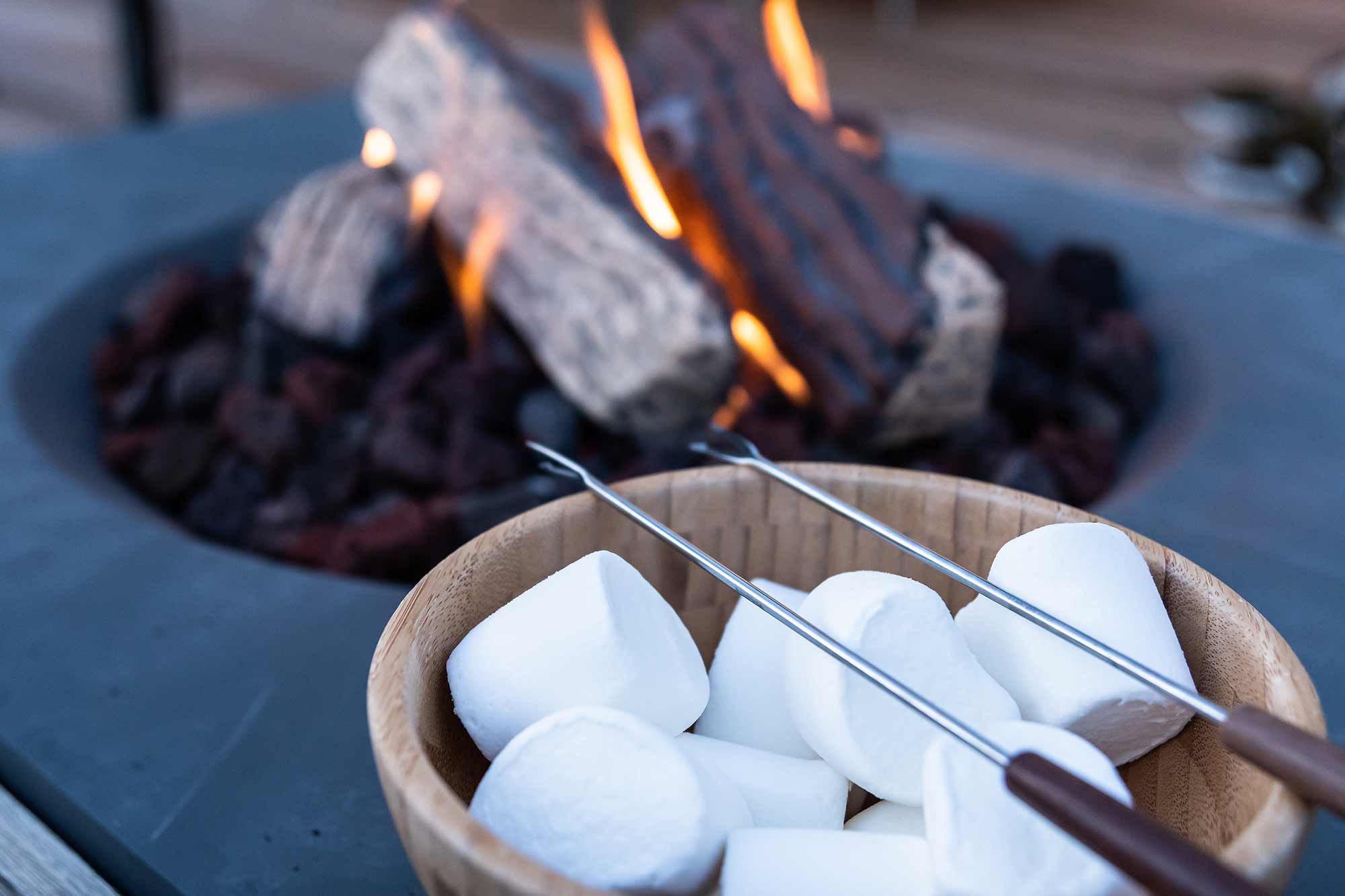 smores in the smoky mountains