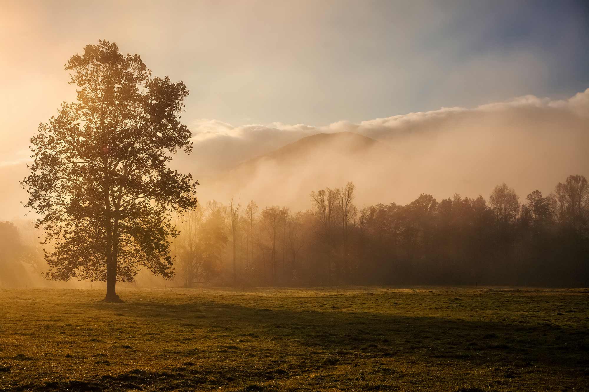Foggy sunrise photo of Cades Cove.